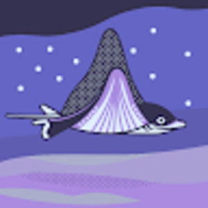 Meet your Posher, Shelby